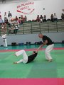 IMG_0019