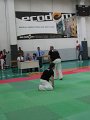 IMG_0060